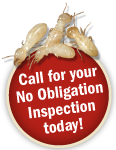 Call today for your NO OBLIGATION inspection today!